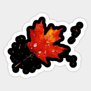 Oh Canada! Sticker